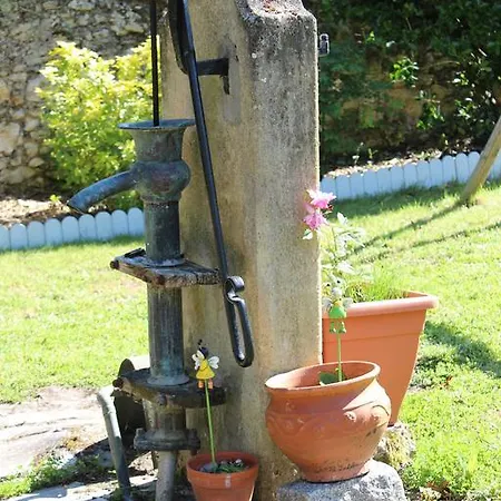 Un Herisson Dans Mon Jardin 3*