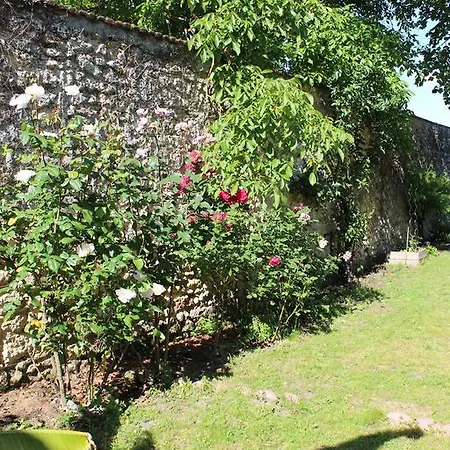 Un Herisson Dans Mon Jardin 3*